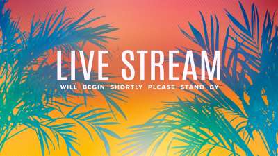 Sun Palms Live Stream