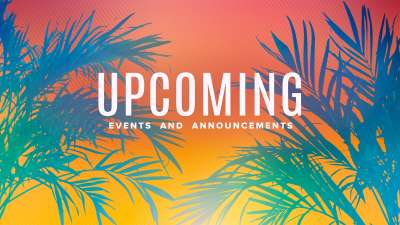 Sun Palms Upcoming