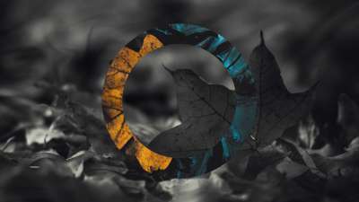 The Shape Of Fall 2