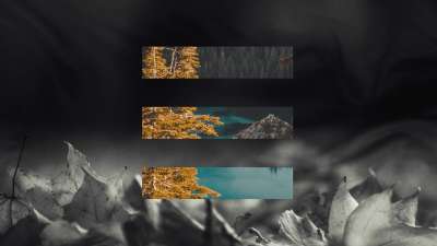 The Shape Of Fall 4
