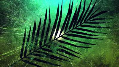 Vivid Palm Sunday 03