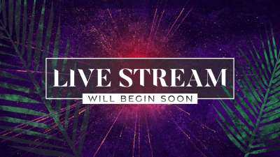 Vivid Palm Sunday Live Stream