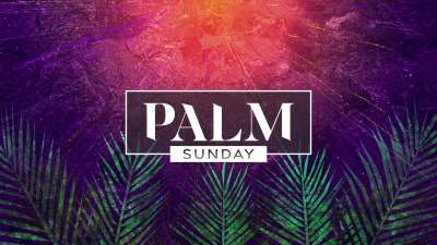 Vivid Palm Sunday Palm Sunday 02