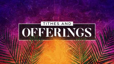 Vivid Palm Sunday Tithes And Offerings