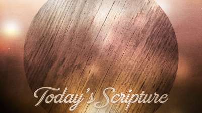 Woodgrain Scripture