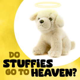 Do Stuffies Go to Heaven?