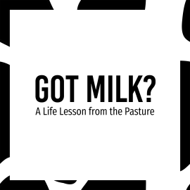 “ Got Milk ?” A Life Lesson from the Pasture