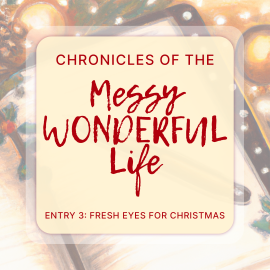 Chronicles of the Messy Wonderful Life Entry 3: Fresh Eyes for Christmas