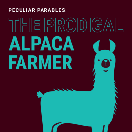 Peculiar Parables - The Prodigal Alpaca Farmer
