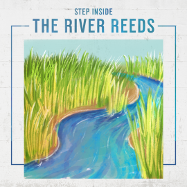 Step Inside the River Reeds