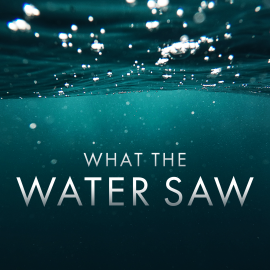 What the Water Saw