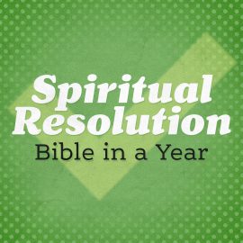 Spiritual Resolution: Bible in a Year