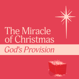 The Miracle of Christmas: God's Provision