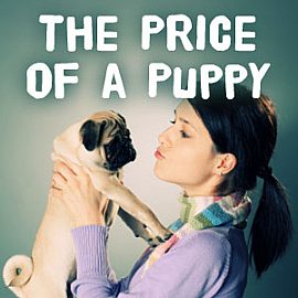The Price of a Puppy