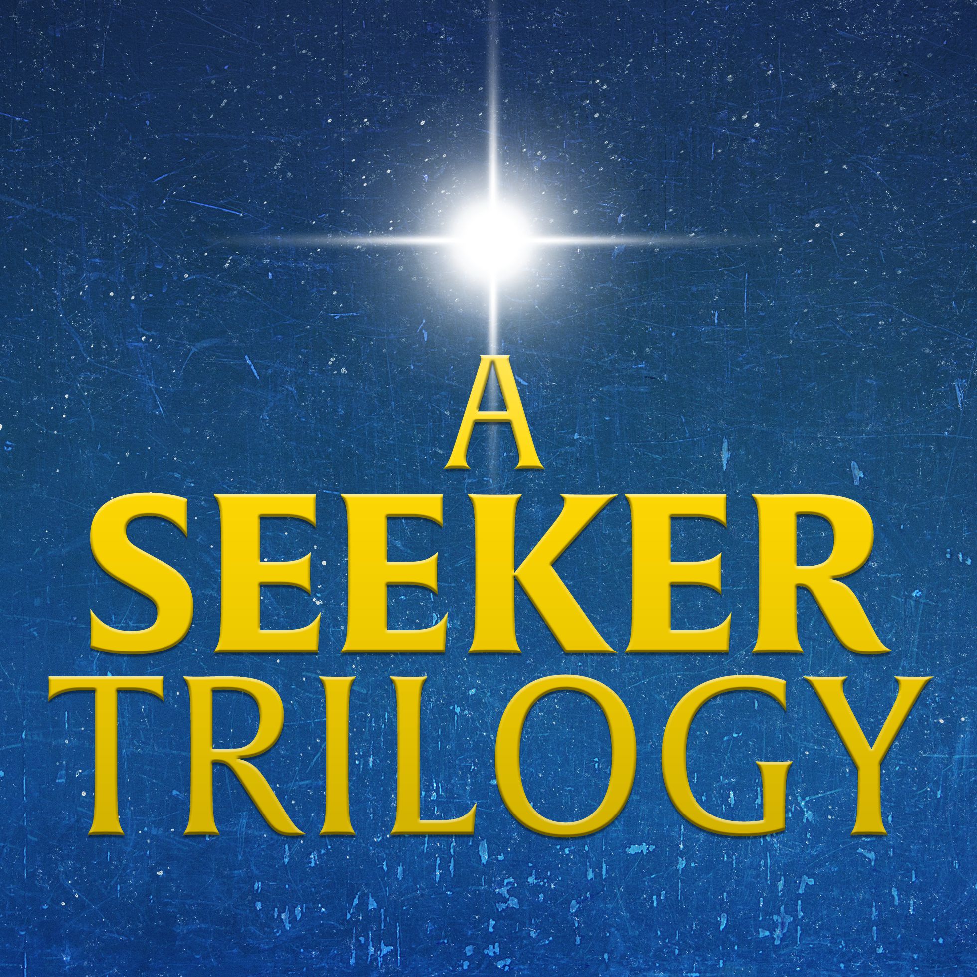 The Seeker by Stephenie Meyer