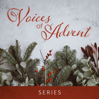 Voices of Advent Script Bundle