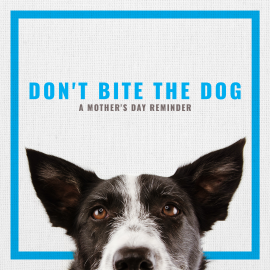 Don't Bite the Dog: A Mother's Day Reminder