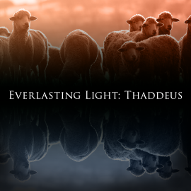 Everlasting Light: Thaddeus