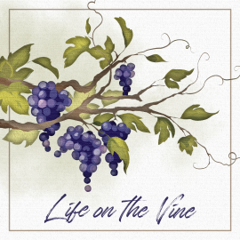 Life on the Vine