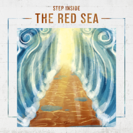 Step Inside the Red Sea