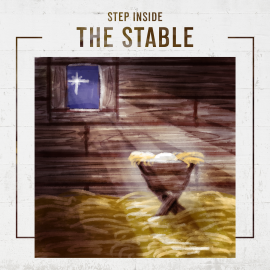 Step Inside the Stable