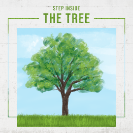 Step Inside the Tree