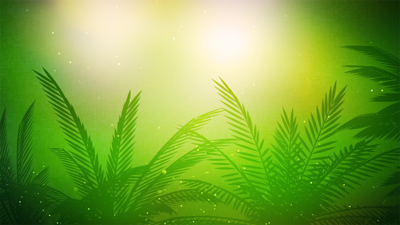 Palm Sunday Vol 2 Background 1 | Motion Video Background