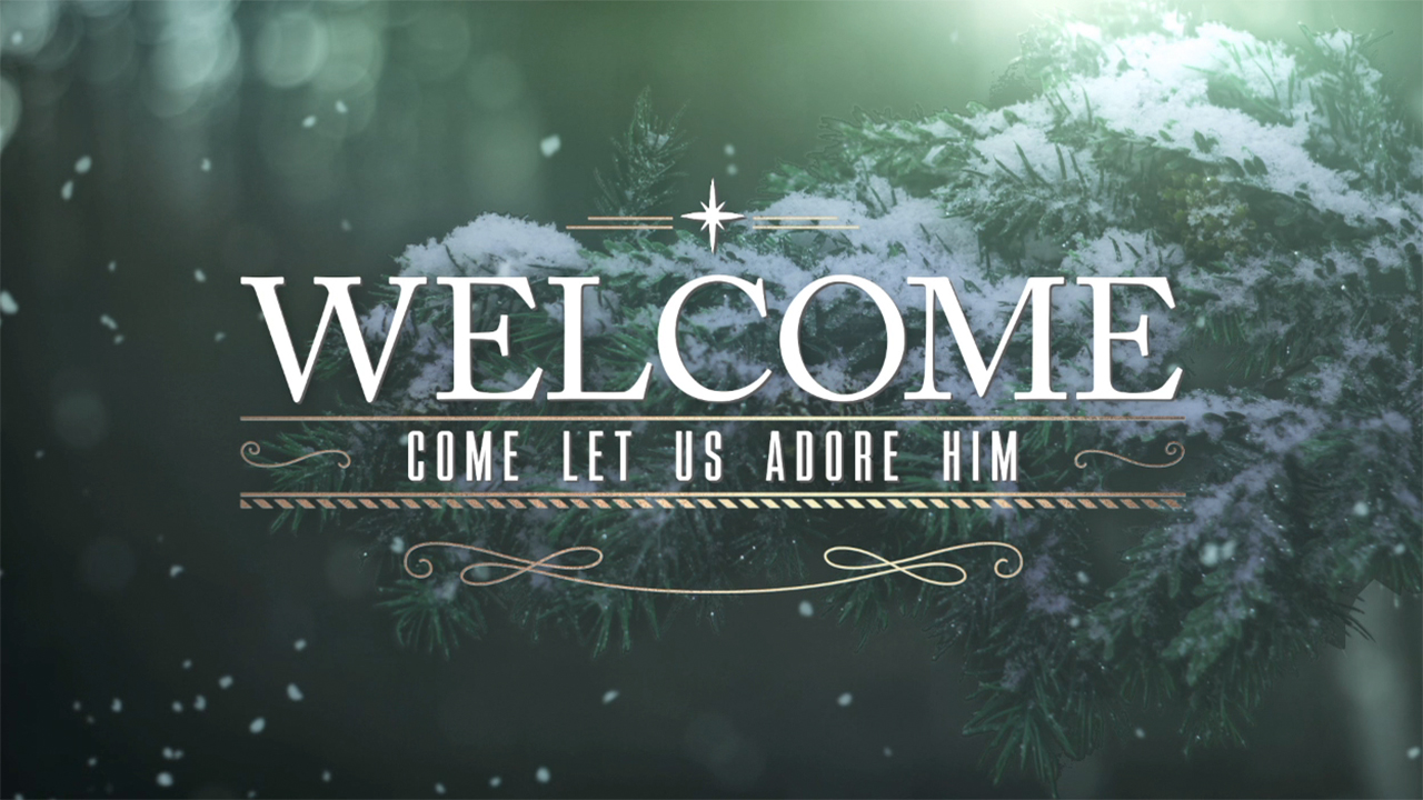 Winter Woods Christmas Welcome | Motion Video Background