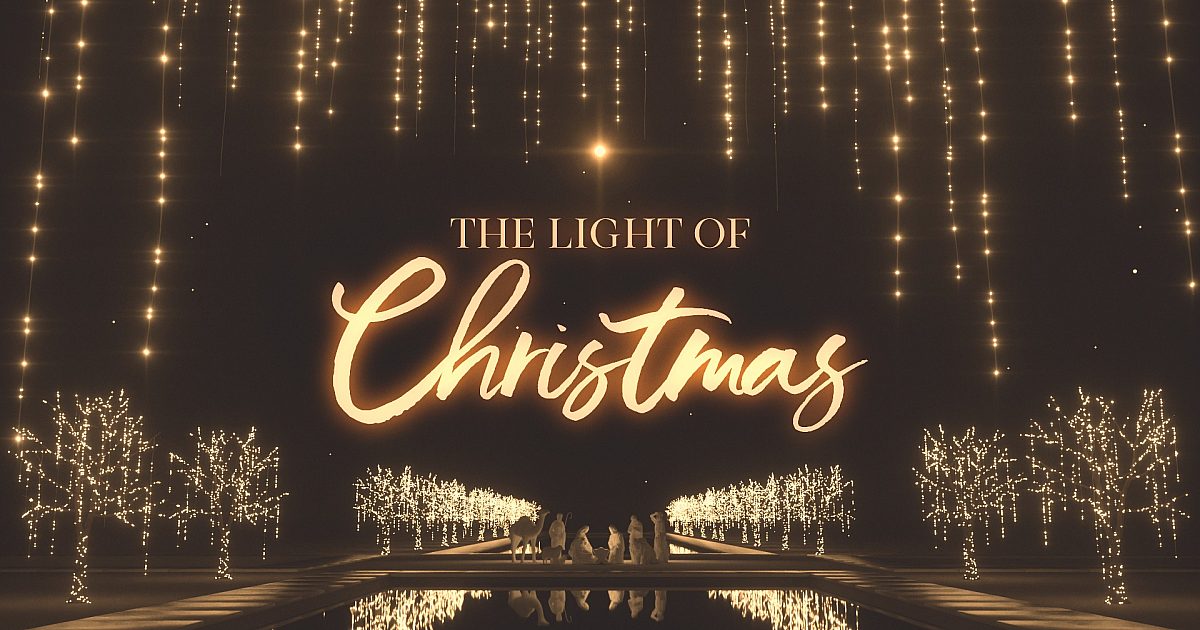 The lights 2024 of christmas