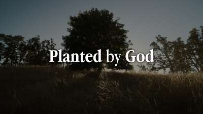 Planted By God