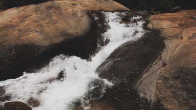 Psalm 36 Rapids