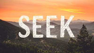 Seek