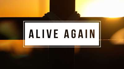 Alive Again