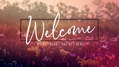 Wildflower Welcome