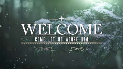 Winter Woods Christmas Welcome