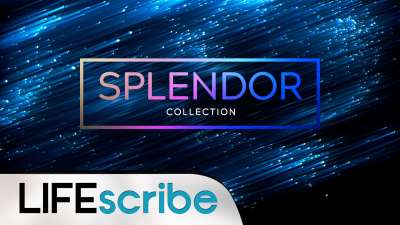 Splendor Collection