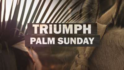 Triumph (Palm Sunday)